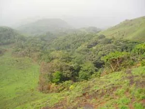 simandou: a hill range in Guinée forestière, southeastern Guinea. A large iron ore deposit here has been...