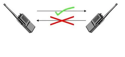 simplex: having a single structure; not composite or complex; undivided, unitary