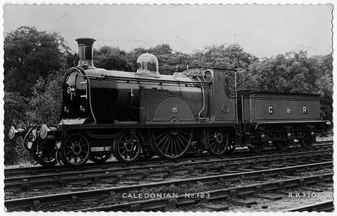 single-wheeler: a steam locomotive with a single driving axle