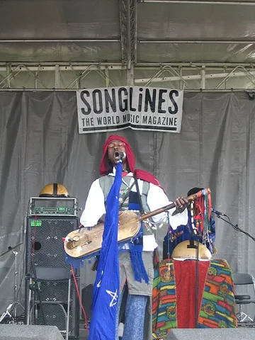 sintir: a three-stringed, skin-covered bass plucked lute used by the Gnawa people of Morocco