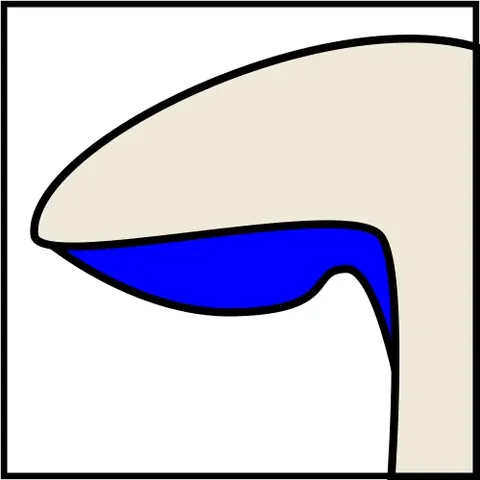 sinuate: to advance in wavy or curvy manner, to bend, to curve, to wind in and out
