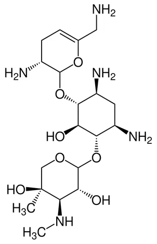sisomicin: an aminoglycoside antibiotic,...