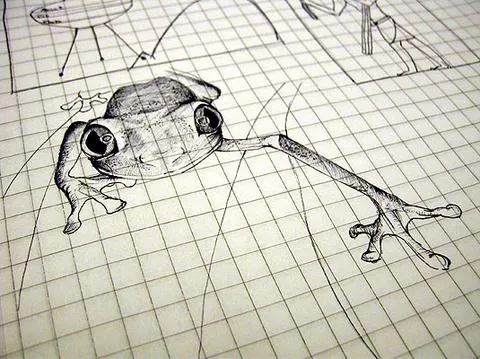 sketch: to make a brief, basic drawing
