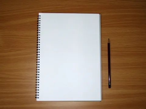 sketchbook: a book or pad with blank pages for sketching; a sketch pad