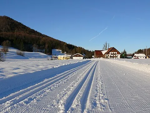 ski track: a trail left by a pair of skis, or one artificially created for the purpose of skiing on