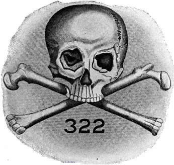 skull and bones: synonym of skull and crossbones (“emblem of pirates or toxicity”)