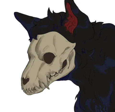 skulldog: a furry having the form of a canid with an exposed skull for a face