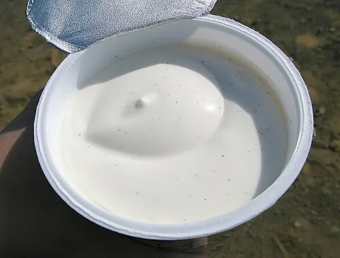 skyr: a yogurt-like product made of curdled milk, curds stored up for food; a thick dairy product unique...