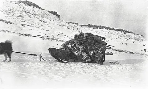 sledful: enough to fill a sled