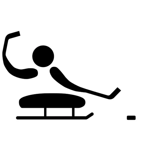 sledge hockey: a version of ice hockey where the players are seated on sledges and have use of two sticks