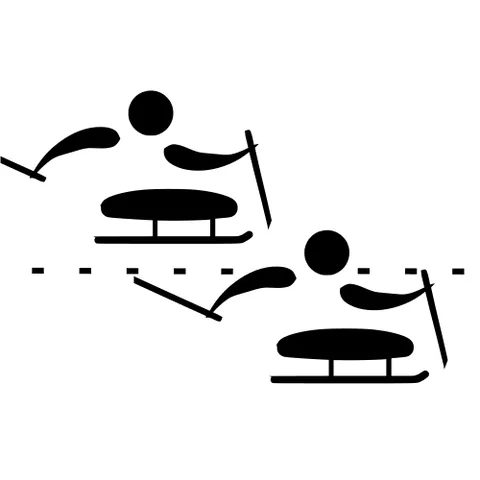 sledge racing: a parasport, an adapted form of (ice) speed skating for wheelchair-bound athletes, using an ice...