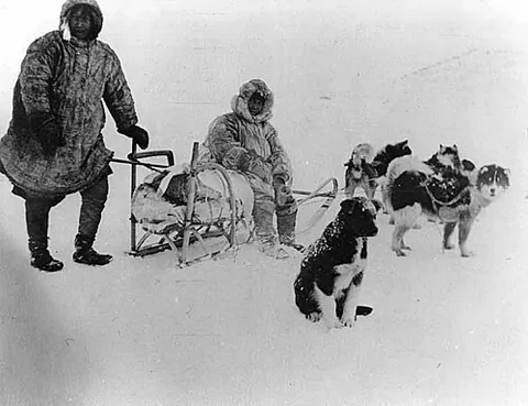 sledload: synonym of sledful
