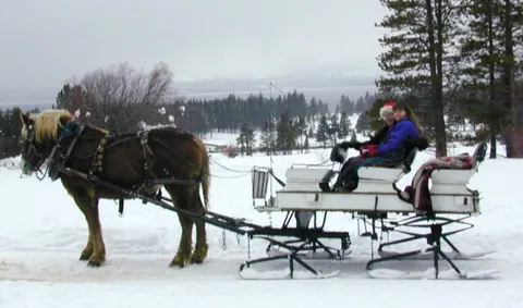 sleigh: a vehicle, generally pulled by an animal, which moves over snow or ice on runners, used for...