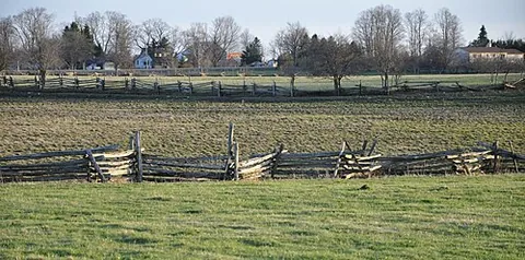 snake fence: a zigzag fence built from interlocking split logs or young trees, not secured with nails
