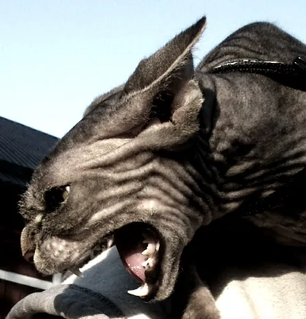 snarl: to entangle; to complicate; to involve in knots