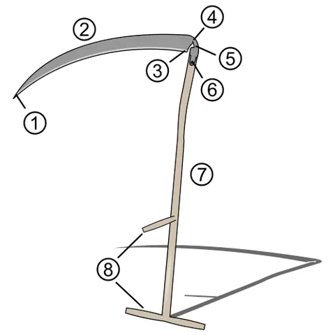 snath: the shaft of a scythe