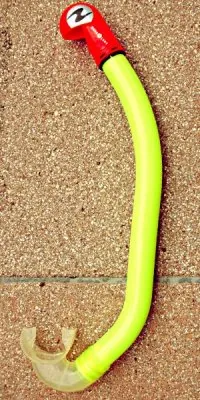 snorkel: a hollow tube, held in the mouth, or mounted on and opening into a diving mask, used by swimmers...