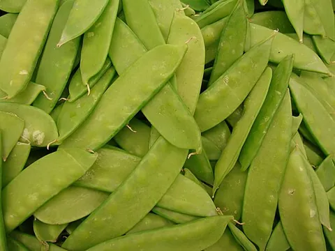 snow pea: a group of pea (Pisum sativum) cultivars, with flat and edible pods