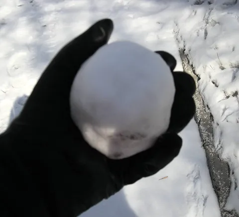 snowball: a ball of snow, usually one made in the hand and thrown for amusement in a snowball fight; also a...