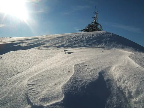 snowdrift: a bank of snow accumulated by the wind