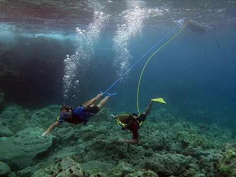 snuba: a combination of snorkeling and scuba diving where the swimmer uses the fins, mask, and breathing...