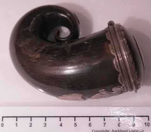 snuff-horn: a container for snuff made from an animal's horn