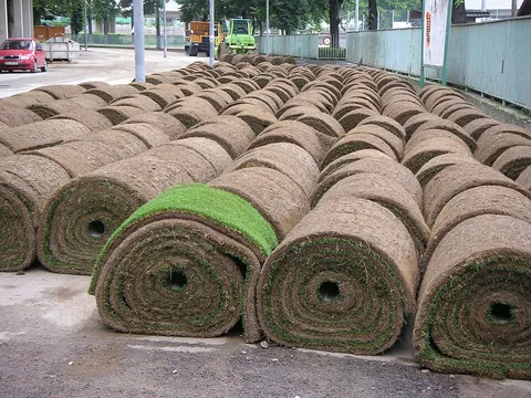 sod: the stratum of the surface of the soil which is filled with the roots of grass, or any portion of...