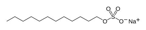 sodium lauryl sulfate: an ionic detergent, sodium dodecyl sulfate, used in many household products