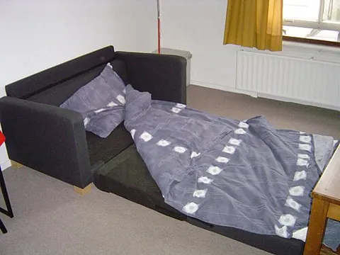sofa-bed: a sofa that unfolds into a bed