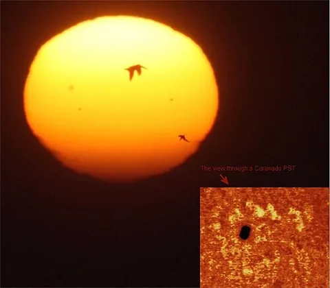 solar telescope: a telescope designed to make observations of the sun
