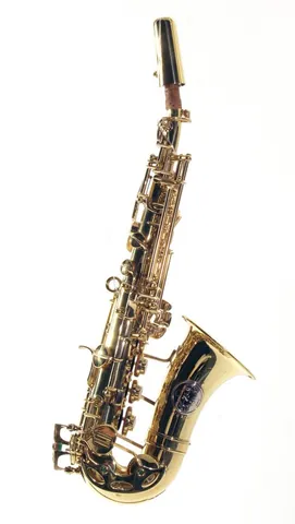 sopranino saxophone: a member of the saxophone family of woodwind instruments that is smaller than the soprano saxophone...
