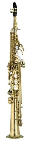 soprano saxophone: a member of the saxophone family of woodwind instruments that is smaller than the alto saxophone...
