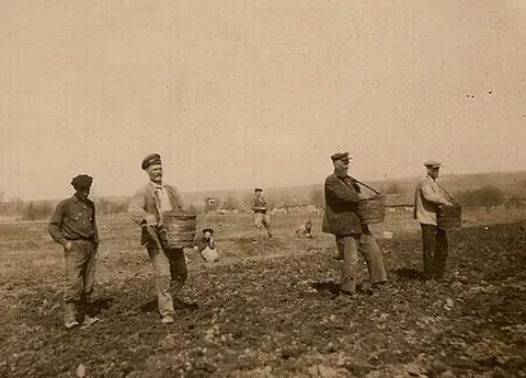sower: one who or that which sows