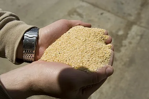 soymeal: the meal (coarse flour) of soybeans