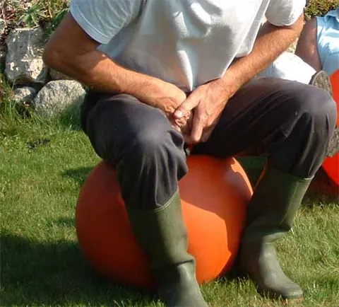 space hopper: a toy consisting of a large inflated rubber ball for bouncing on, with one or more handles on top