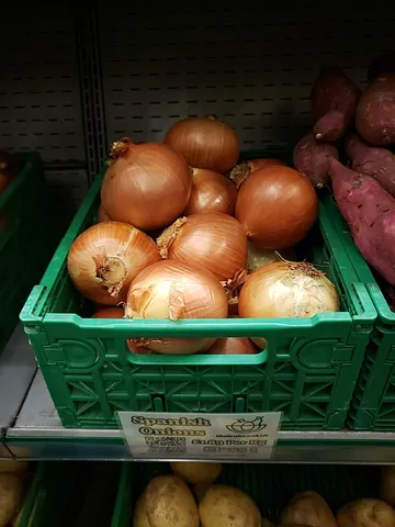 spanish onion: a relatively large variety of the onion, yellow or white in colour and with a mild, sweet flavour