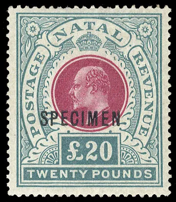 specimen: an individual instance that represents a class; an example