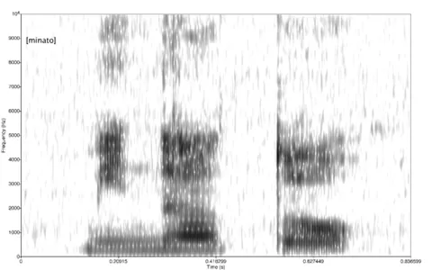 spectrogram: a visual representation of the spectrum of a sound changing through time