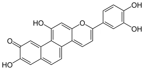 sphagnorubin: a reddish-violet pigment found in the cell walls of several mosses of the genus Sphagnum
