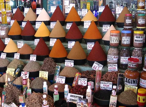 spice: aromatic or pungent plant matter (usually dried) used to season or flavor food