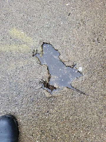 splatatouille: a hole shaped like a rat that was formerly in the sidewalk of West Roscoe Street in the Roscoe...