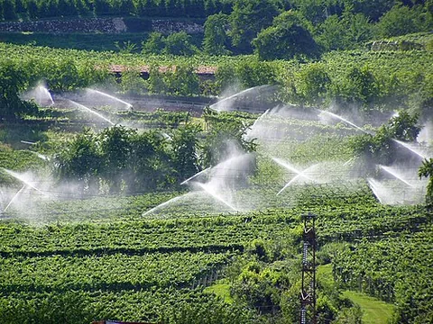 spray: a fine, gentle, dispersed mist of liquid
