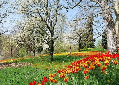 spring: to move or burst forth