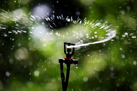 sprinkle: to cause (a substance) to fall in fine drops (for a liquid substance) or small pieces (for a solid...