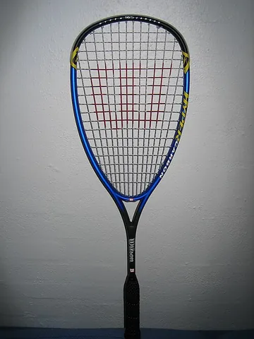 squash racket: a type of bat used to hit the ball in the game of squash