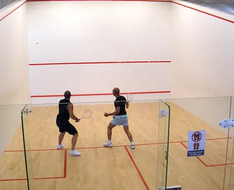 squash: a sport played in a walled court with a soft rubber ball and bats like tennis racquets