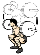 squat: relatively short or low, and thick or broad