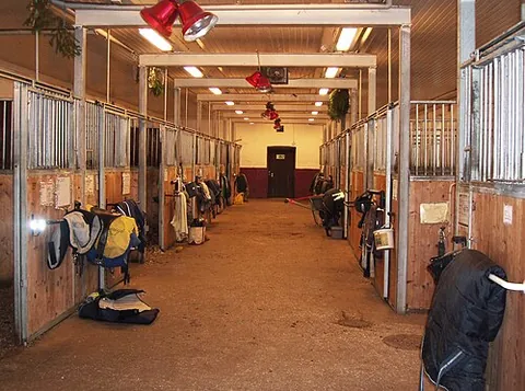 stable: a building, wing or dependency set apart and adapted for lodging and feeding (and training)...