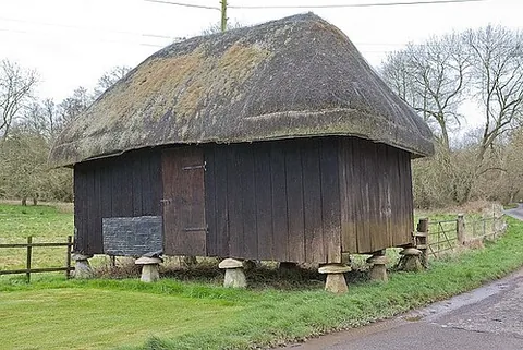 staddle stone: one of the mushroom-shaped stones used as a support (a staddle) for a barn or granary. The shape...