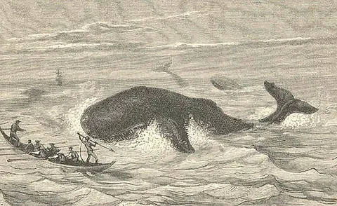 stand up and give it to him: a phrase shouted by the officer on a whaleboat to order an attack with a harpoon